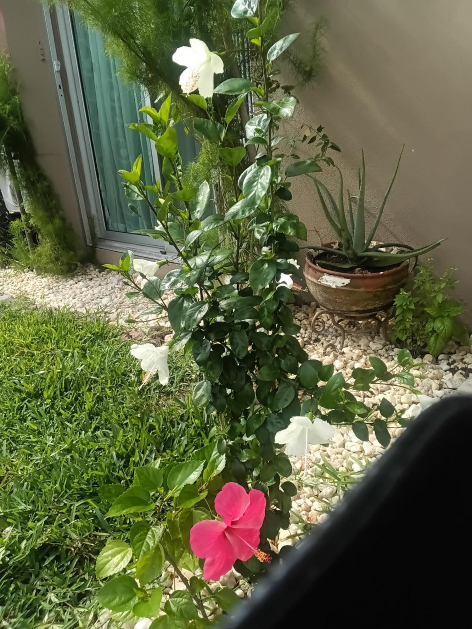 Maison Katia Abidjan Kültér fotó